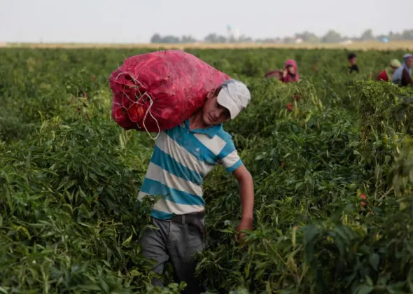 © UNICEF/UN0153927/Feyizoglu