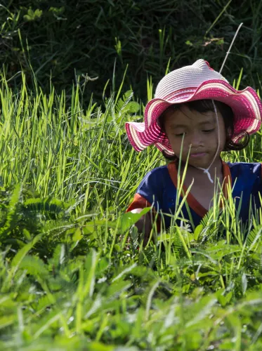 Child labour